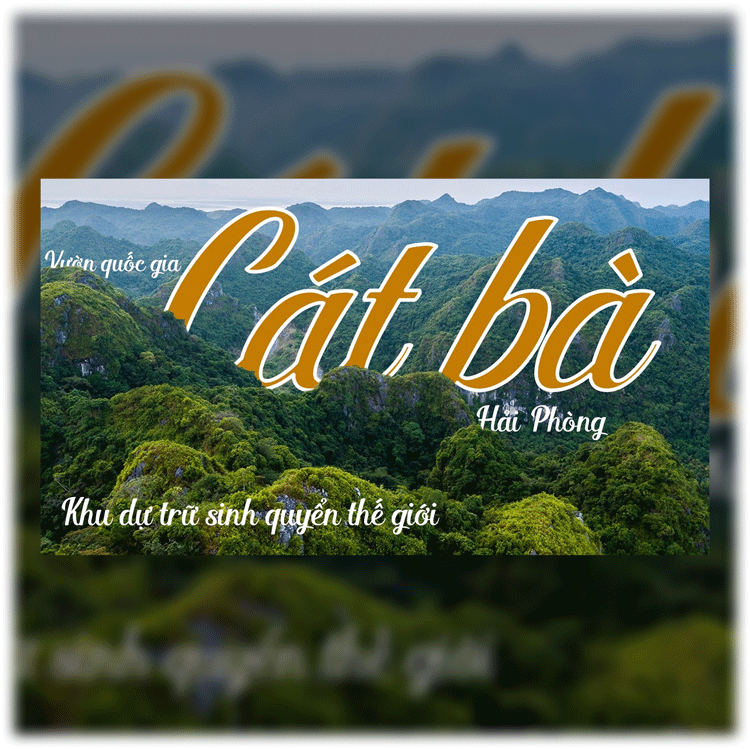 Powerpoint mở đầu Cát Bà